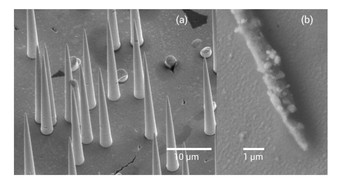 nanoconos de oro fabricadas por la técnica de réplica
utilizando una lámina multiporo de policarbonato
